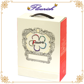 Benutzerdefinierte Druck Bier Wein Champagner Carrier Box