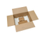 Hochleistungskarton-Papierbox für Obst-Mango-Verpackung
