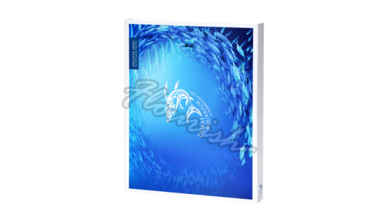 Werbeartikel Elegant Blue Square Cardboard Parfüm Box