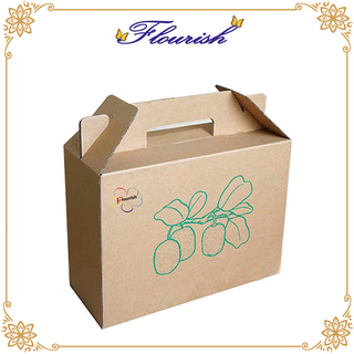 Starke tiefe Wellpappe Apple Lemon Pitaya Kiwi Obstverpackung Box mit Griff
