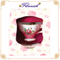 Blumendruck-rosa Papp-Teetasse und Untertasse-Geschenk-Anzeigebox